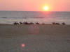 Captcha image 8746